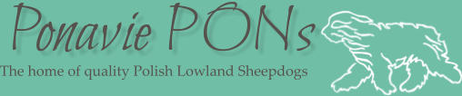 The home of quality Polish Lowland Sheepdogs Ponavie PONs