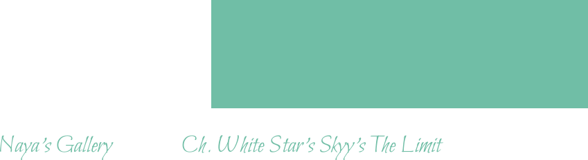Naya’s Gallery 			Ch. White Star’s Skyy’s The Limit