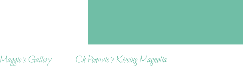 Maggie’s Gallery 			Ch Ponavie’s Kissing Magnolia