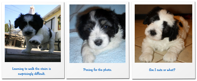 Learning to walk the stairs is surprisingly difficult.  Posing for the photo.  Am I cute or what?