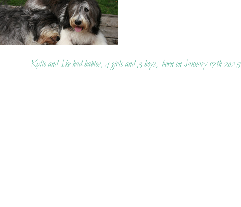 Kylie and Ike had babies, 4 girls and 3 boys,  born on January 17th 2025