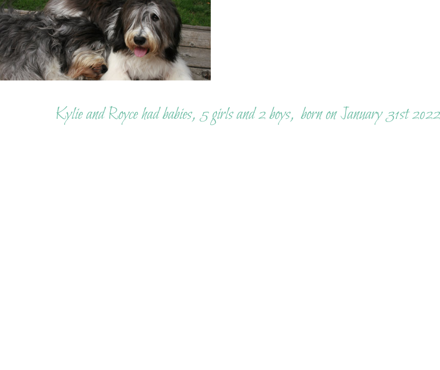 Kylie and Royce had babies, 5 girls and 2 boys,  born on January 31st 2022