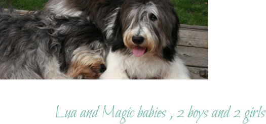 Lua and Magic babies	, 2 boys and 2 girls