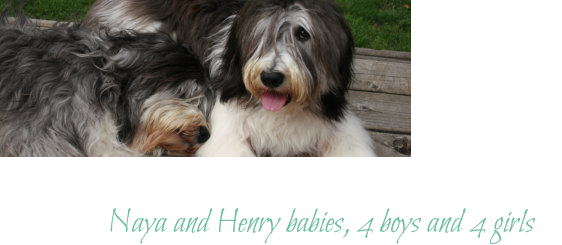 Naya and Henry babies, 4 boys and 4 girls