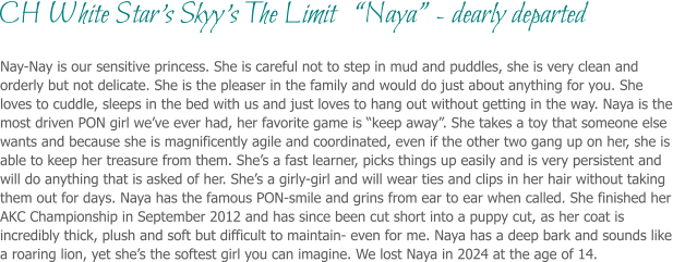 Nay-Nay is our sensitive princess. She is careful not to step in mud and puddles, she is very clean and orderly but not delicate. She is the pleaser in the family and would do just about anything for you. She loves to cuddle, sleeps in the bed with us and just loves to hang out without getting in the way. Naya is the most driven PON girl we’ve ever had, her favorite game is “keep away”. She takes a toy that someone else wants and because she is magnificently agile and coordinated, even if the other two gang up on her, she is able to keep her treasure from them. She’s a fast learner, picks things up easily and is very persistent and will do anything that is asked of her. She’s a girly-girl and will wear ties and clips in her hair without taking them out for days. Naya has the famous PON-smile and grins from ear to ear when called. She finished her AKC Championship in September 2012 and has since been cut short into a puppy cut, as her coat is incredibly thick, plush and soft but difficult to maintain- even for me. Naya has a deep bark and sounds like a roaring lion, yet she’s the softest girl you can imagine. We lost Naya in 2024 at the age of 14.  CH White Star’s Skyy’s The Limit   “Naya” - dearly departed