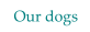 Our dogs