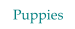 Puppies